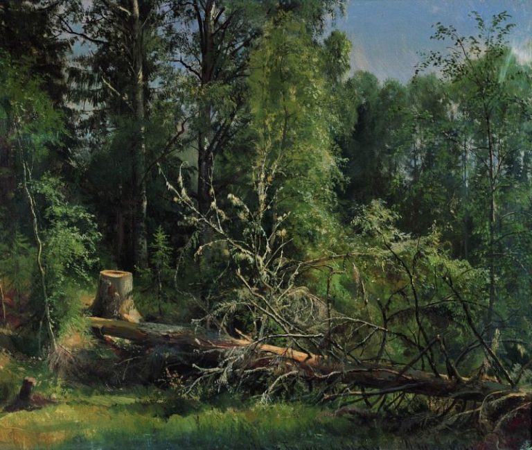 Срубленное дерево 1875 50х59 картина
