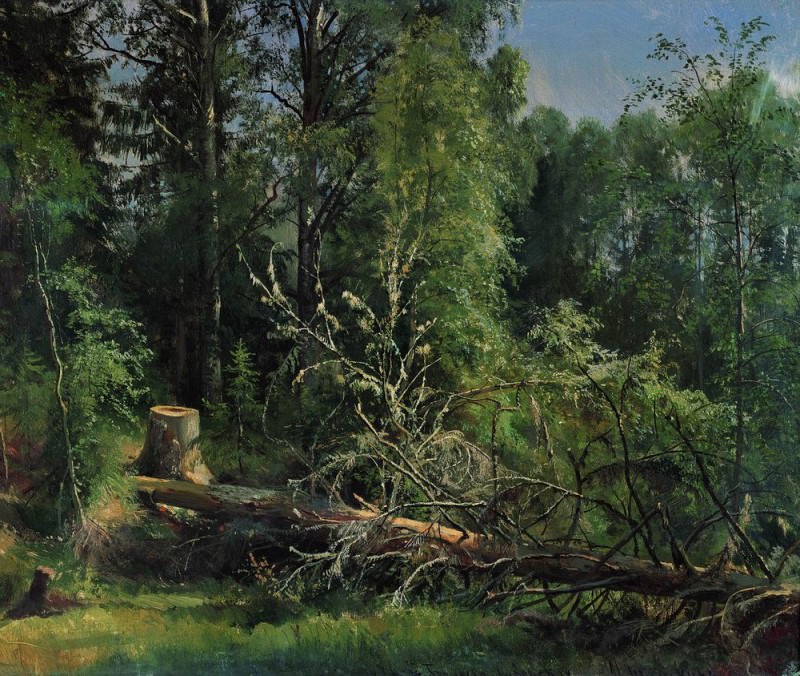 Срубленное дерево 1875 50х59 картина