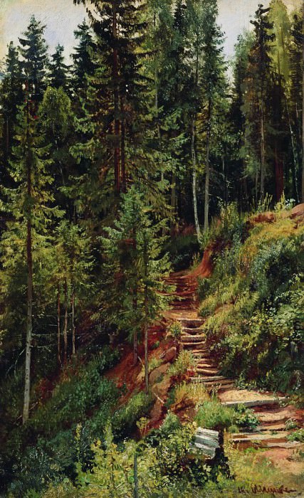 Тропинка в лесу 55х34 картина