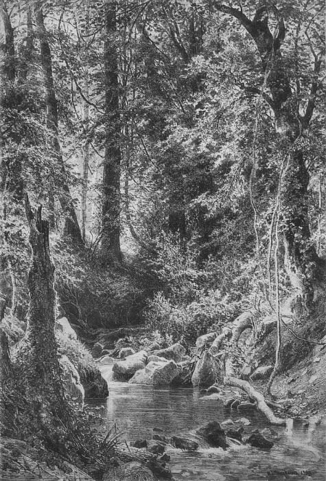 Лесной ручей 1880 77, 4х61, 4 картина