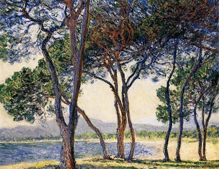 Деревья на берегу моря на Антибах картина