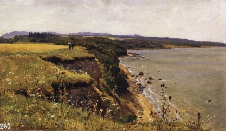 У берегов Финского залива (Удриас близ Нарвы). 1888 34х57 картина