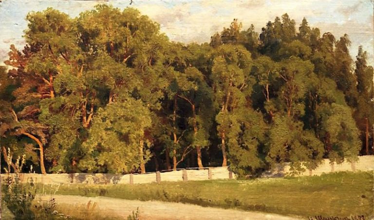 Лес за оградой 1898 картина