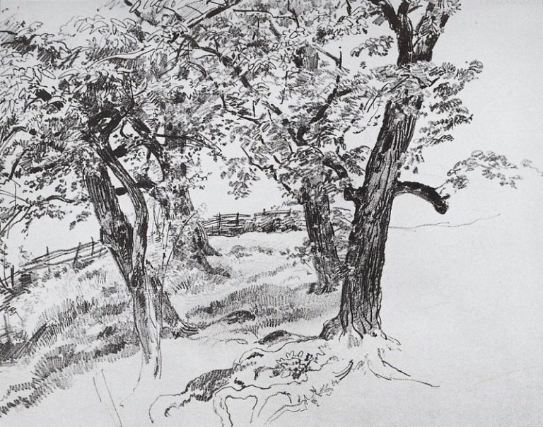 Деревья 1870-е 21х28 картина