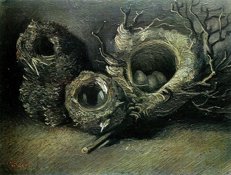 Натюрморт с тремя птичьими гнездами картина
