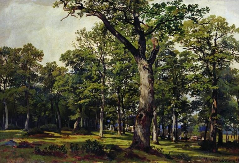 Дубовый лес 1869 55. 8х82 картина