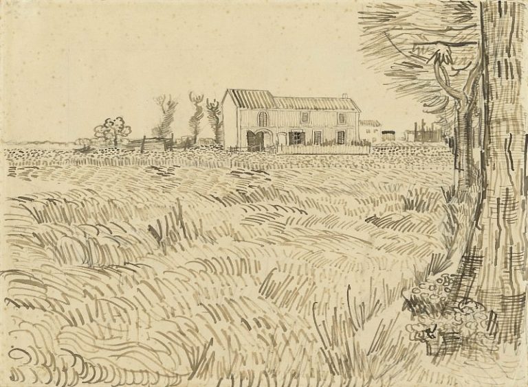 Ферма в пшеничном поле картина