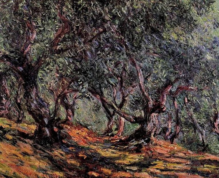 Оливковые деревья в Бордигере картина