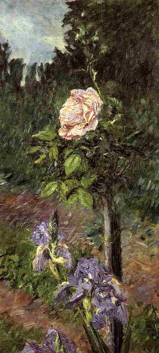 Роза с пурпурным ирисом, сад в Пти-Женвилье картина