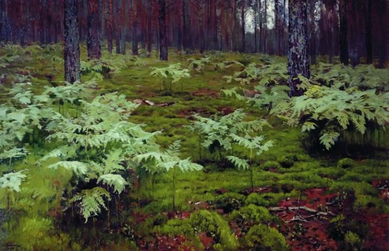 Папоротники в лесу. 1895 картина