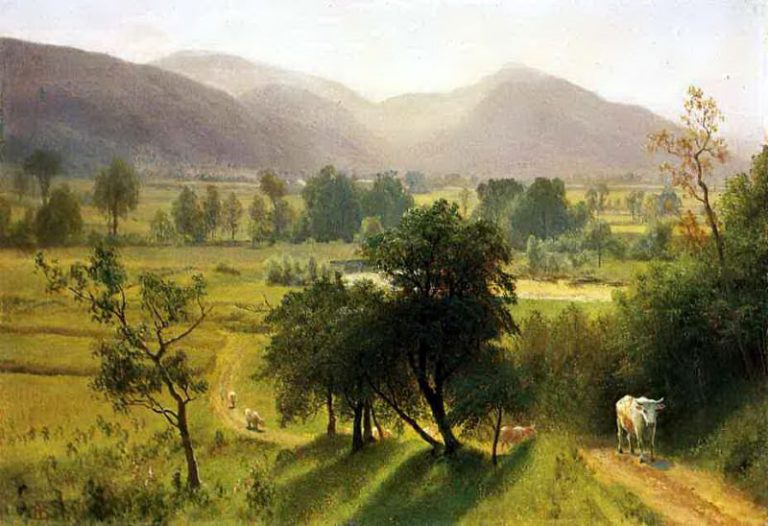 Долина Конуэй (Нью Гемпшир) картина