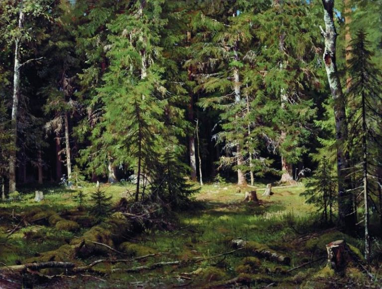 Лес. 1880-е 83х110 картина
