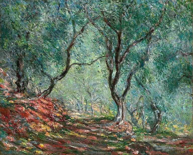 Оливковое дерево в саду Морено картина