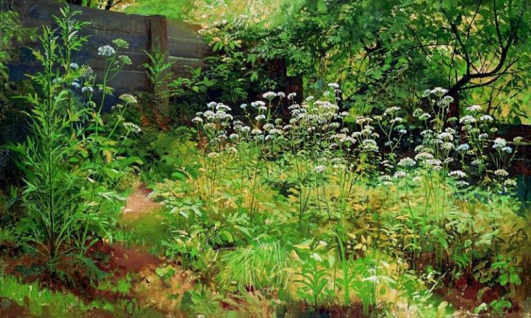Сныть-трава. Парголово 1884-1885 35х58 картина