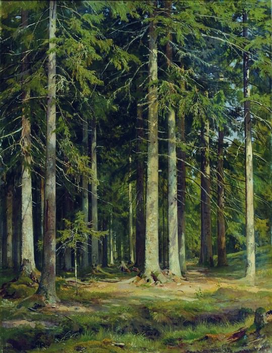 Еловый лес 1891 109х85 картина
