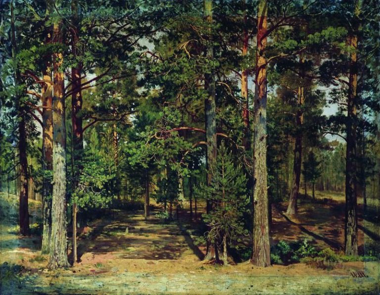 Сосновый лес 45х59 картина