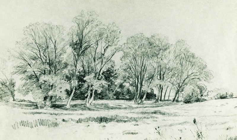 Деревья в поле. Братцево 1866 26х42 картина