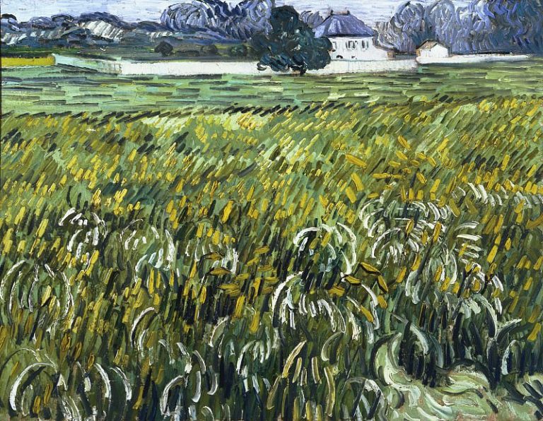 Пшеничное поле с белым домом в Овере картина