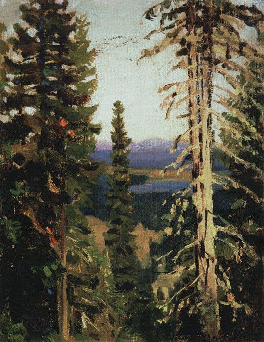 Лес на горе Благодать. Средний Урал. 1890-е картина