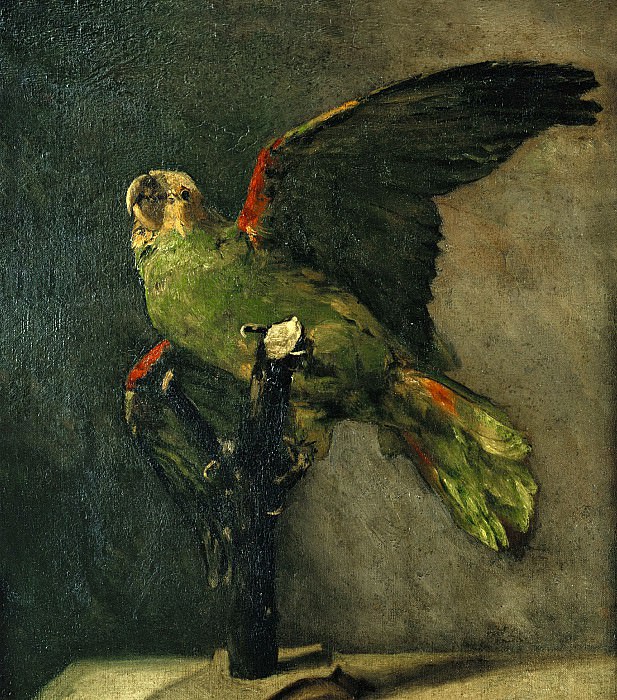 Зеленый попугай картина