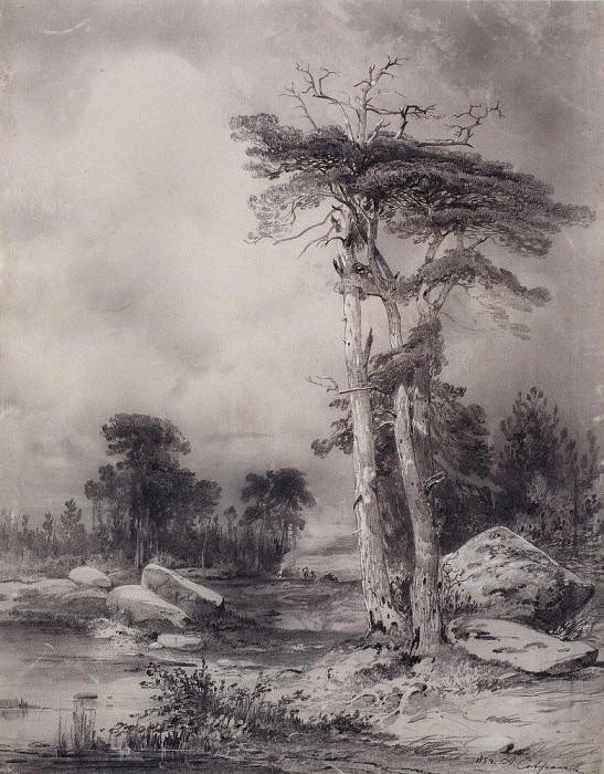 Старые сосны. 1854 картина