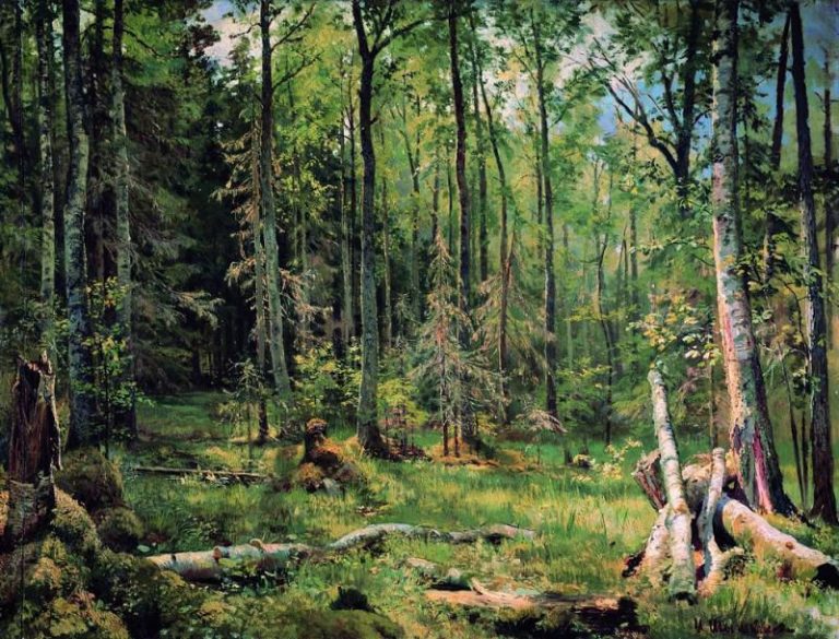 Смешанный лес (Шмецк близ Нарвы) 1888 83х101 картина
