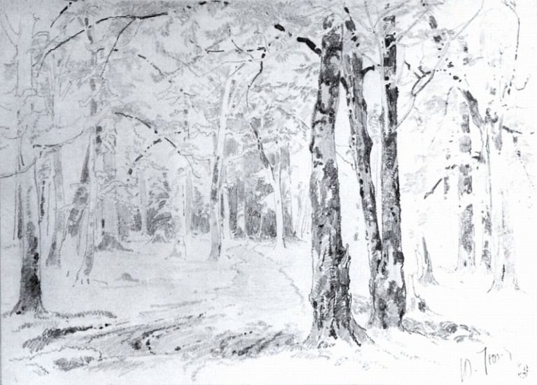 Дорога в лесу. Конец 1870-х – начало 1880-х 23х35 картина