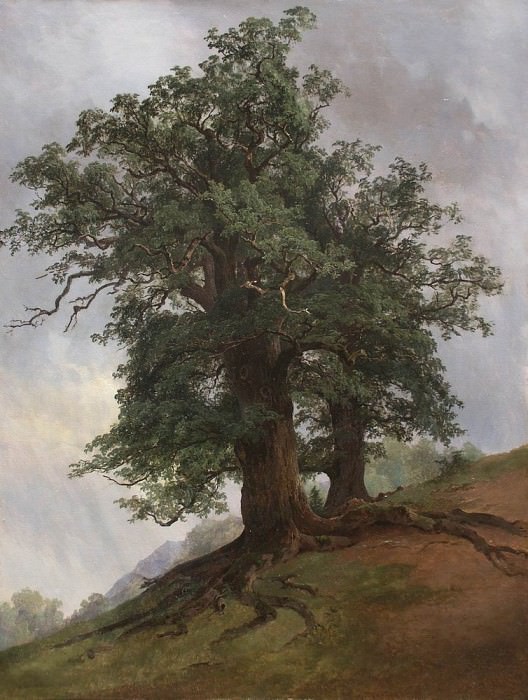 Старый дуб 1866 картина