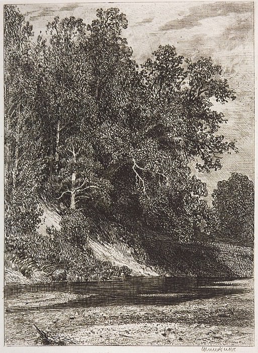 Лес на крутом берегу. 1877 16х12 картина