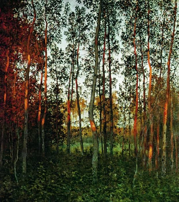 Последние лучи солнца. Осиновый лес. 1897 картина
