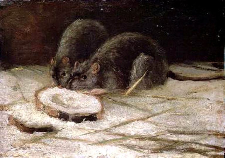 Две крысы картина