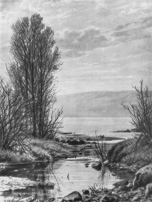 Берег озера 1884. Бумага, уголь, мел 60х44 картина