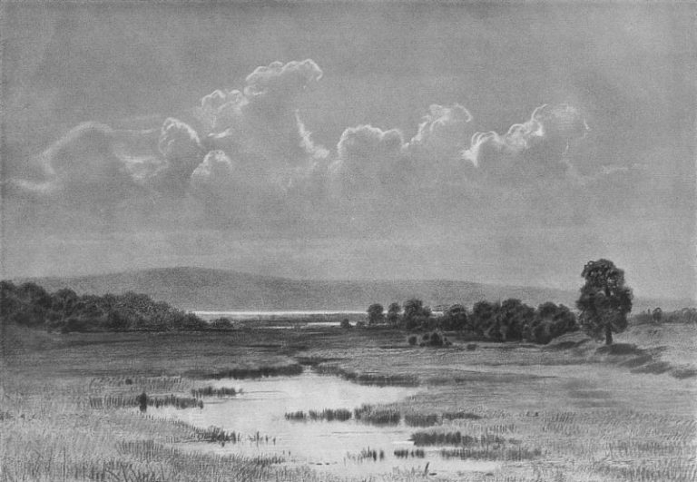 Болото 1884 Бумага. уголь, мел 46х62 картина