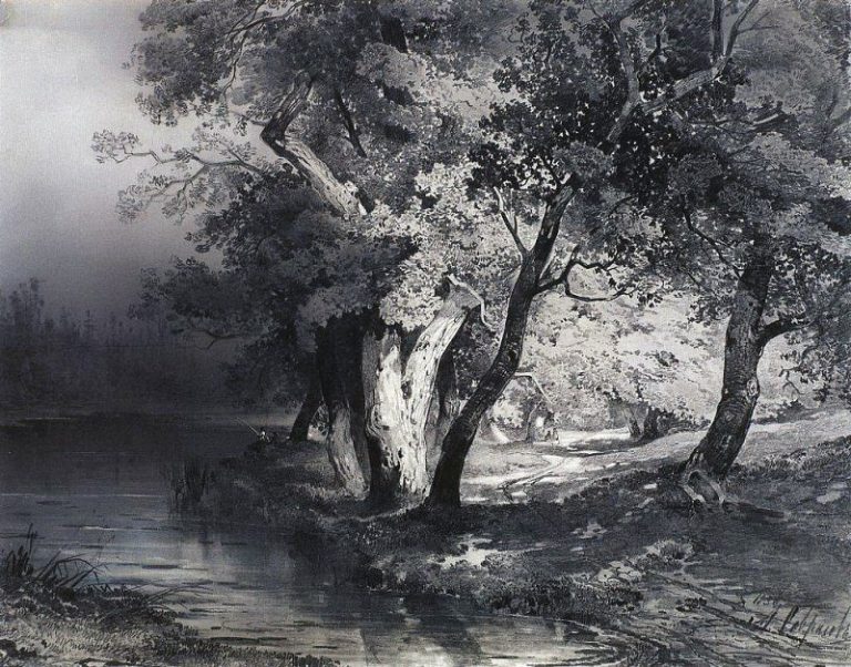 Лес у озера, освещенный солнцем. 1856 картина