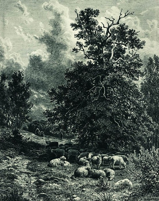 Стадо овец на опушке леса 1860-е 38х29 картина