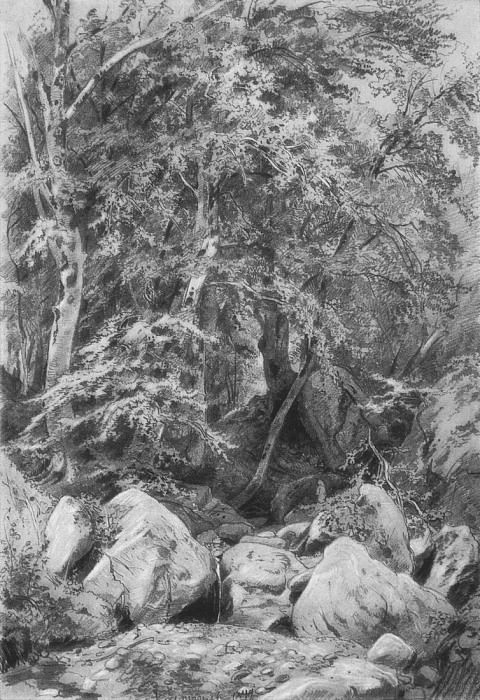 Деревья у ручья на горе Кастель. 1879 46х31 картина