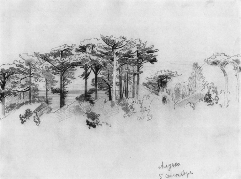 Сосны над морем. Алупка 1879 24х33 картина