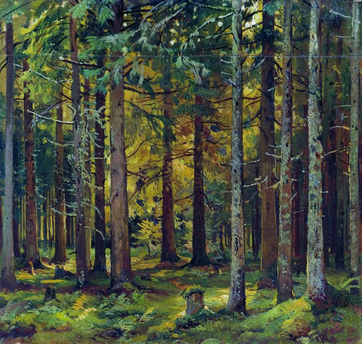 Еловый лес 46х42 картина