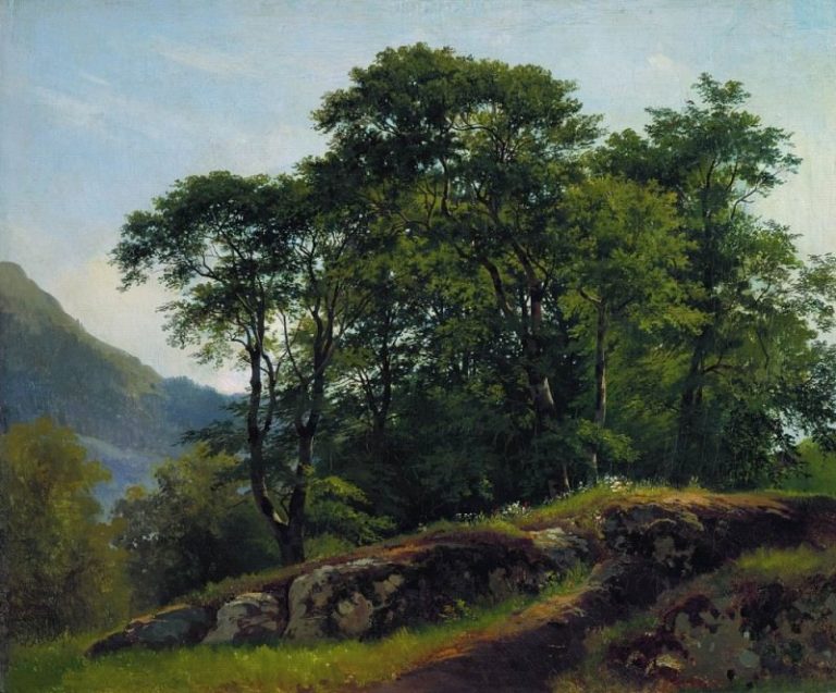 Буковый лес в Швейцарии1863 51х61 картина