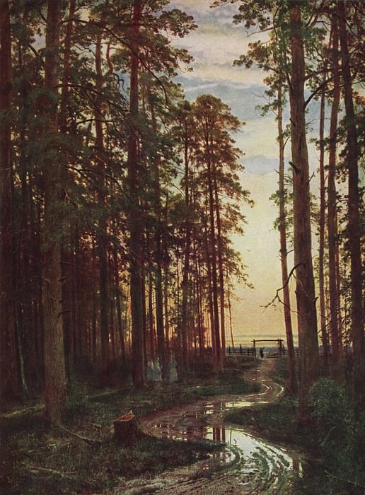 Вечер в сосновом лесу 1875 116х87. 7 картина