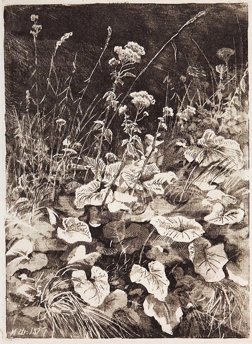 Белые цветы. 1877 12х9 картина