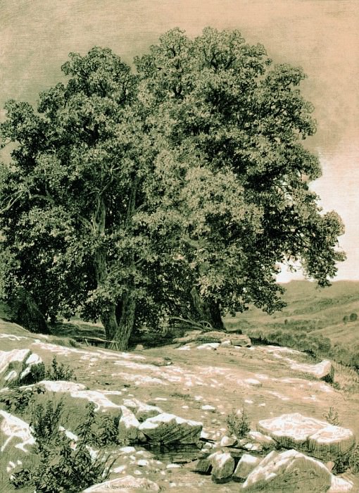 Крымские орешины. 1884 60х44 картина