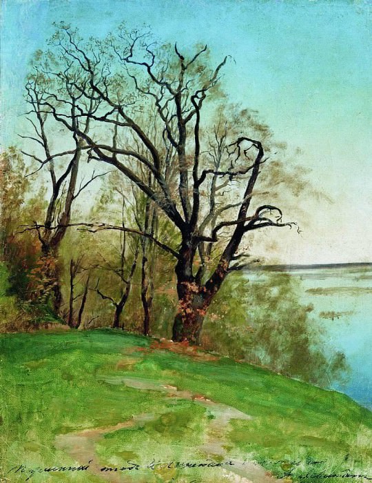 Дуб на берегу реки. 1887 картина