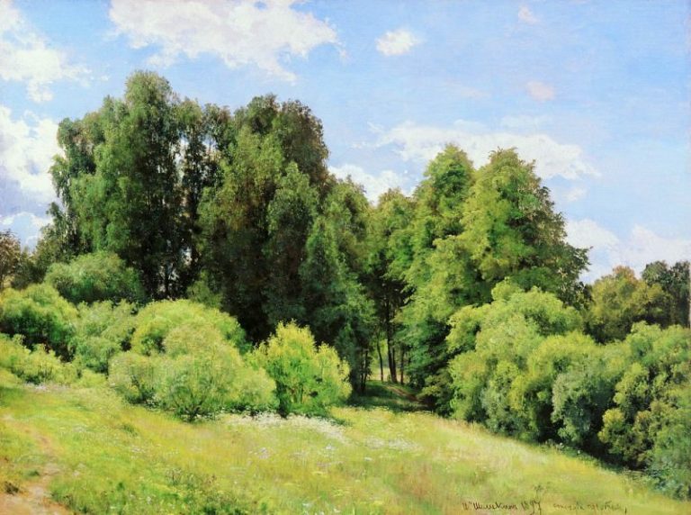 Лесная поляна (Полянка) 1897 81х109 картина
