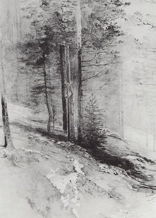 Лес. 1877 картина