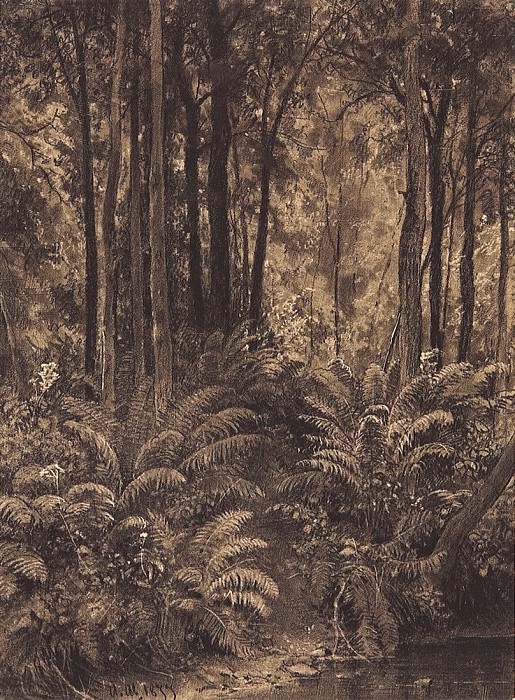 Папоротники в лесу. 1877 28, 4х21 картина