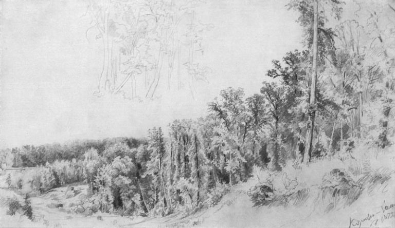 Овраг в Козловке-Засеке 1873 26х60, 4 картина