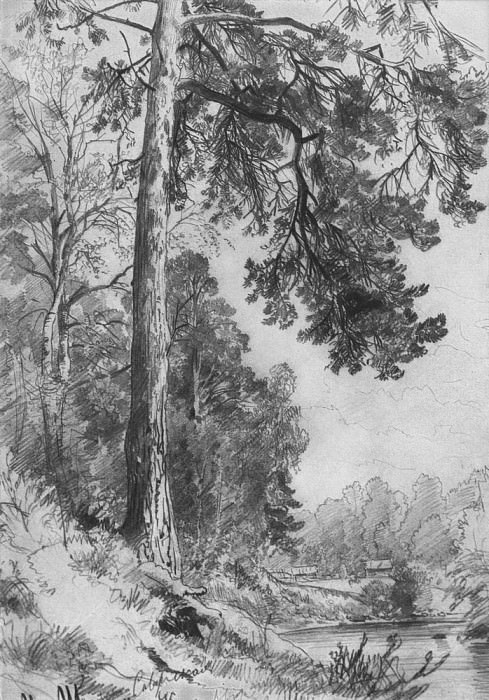Лесная речка. Сиверская 1876 31х22 картина