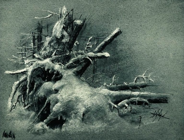 Выкорчеванные пни под снегом 1890-е Бумага. уголь, мел 23х31. 1 картина