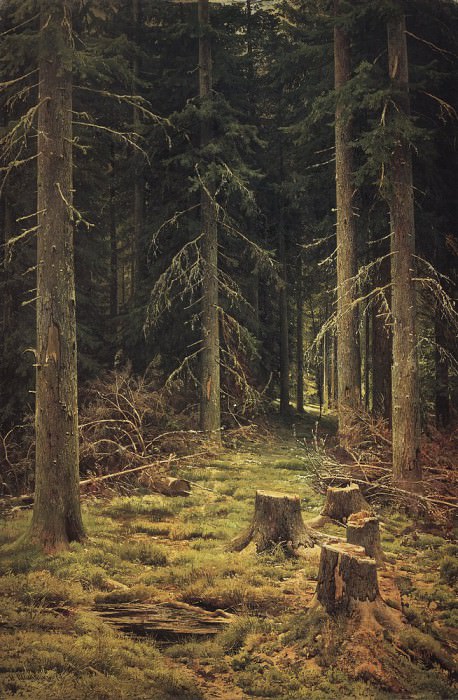 Хвойный лес 1873 144х98 картина